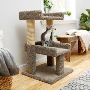 Frisco 32-Inch Cat Tree Condo – Gray