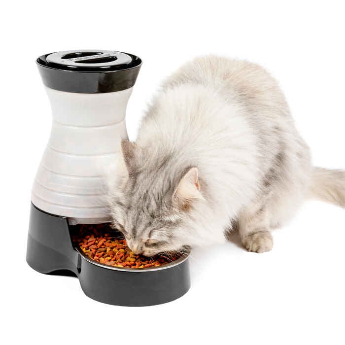 PetSafe Healthy Pet Gravity Feeder – Medium