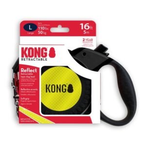 KONG Terrain Reflective Dog Leash – 6 ft